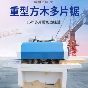 木工重型方木多片鋸敞開式寬料開方多片鋸 廠家直供價格優(yōu)惠